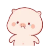 Lindo CERDITO Mov 24