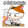Gaticos 4 Mov 24