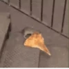 ANIMALITOS 25