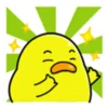 Pato gordo 21