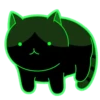 Cats 24