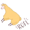 Llama amarilla 13