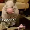 ANIMALITOS 26