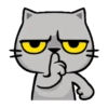 MEOW 4 mov. 24
