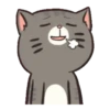 Gatinhos fofos 17