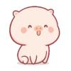Lindo CERDITO Mov 25
