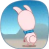 Lovely rabbit  Mov 12
