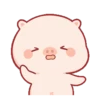 Lindo CERDITO Mov 27