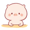 Lindo CERDITO Mov 28