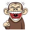 funny monkey 19