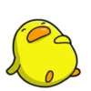 Pato gordo 23