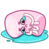 LindoBombón 19