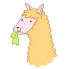 Llama amarilla 15