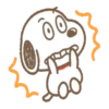 SNOOPY ROUND BOY 23