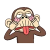 funny monkey 20