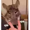 ANIMALITOS 29