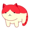 Cats 28