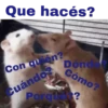 ANIMALITOS 30
