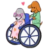 Perritos Cute Mov. 29