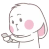 whiteBunny 18