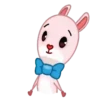 Lovely rabbit  Mov 14