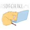 Llama amarilla 19