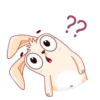 Bunny 22