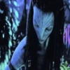 Avatar Ѧ Mov 29