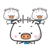 BOOING PIG 22