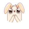 Bunny 23
