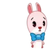 Lovely rabbit  Mov 15