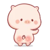 Lindo CERDITO Mov 31