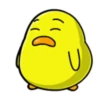 Pato gordo 27