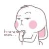 whiteBunny 22