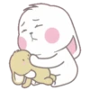 whiteBunny 23