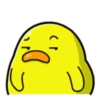 Pato gordo 30