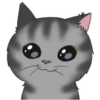 ‍American shorthair‍ Mov 5