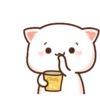 PeachCat and Goma 5