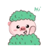 PINK PIG mov. 8