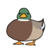 ︾︽ DUCKS『2』︽︾ Mov 5