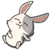 little Bunny 5