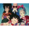 koki 6 Dragón ball 2 7