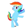 Rainbow DashMov 6