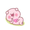 PINK PIG 6