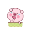 PINK PIG 7