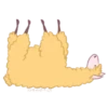 llama amarillamov 5