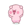 PINK PIG 8