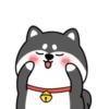 Perrito y Monito 7