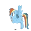 Rainbow DashMov 8