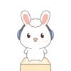 Rabbittobi ♡ 8